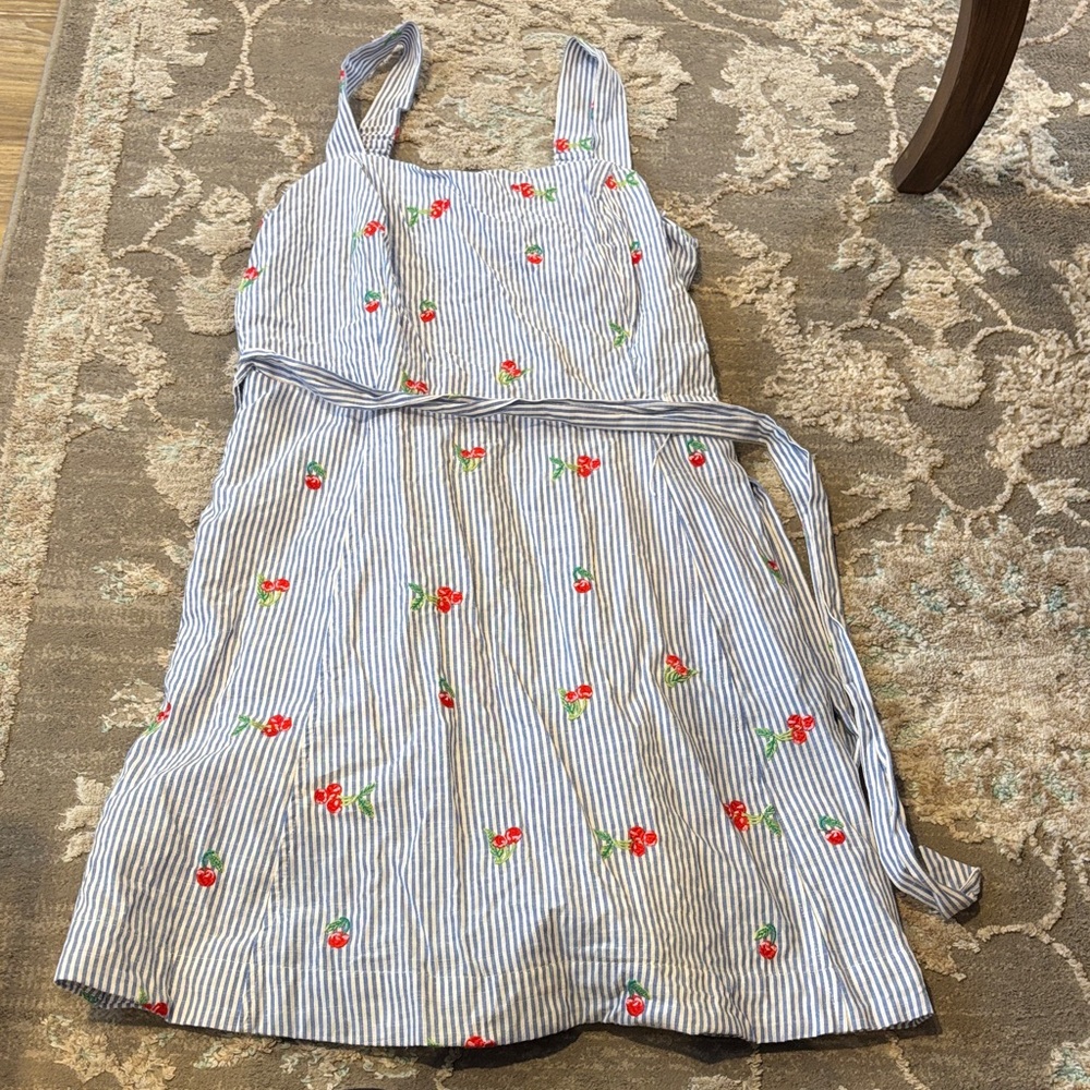 Draper James Blue and White Striped Dress with Cherry Embroidery
